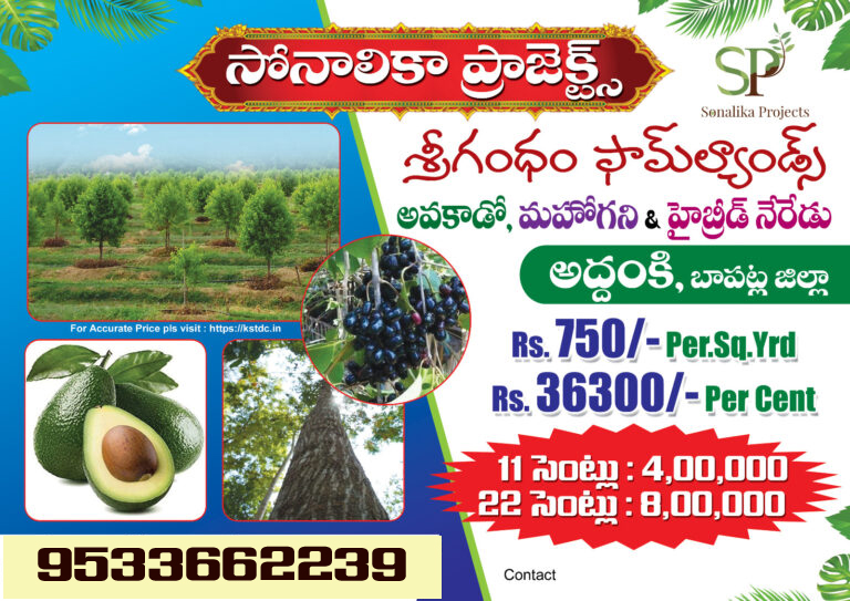 Farmlands in Guntur - Sonalika Projects, Addanki