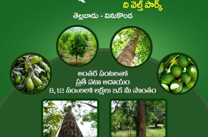 Farmlands in Guntur - Nidhivanam