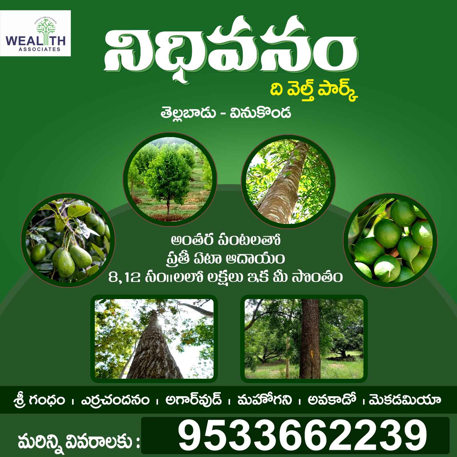 Farmlands in Guntur - Nidhivanam