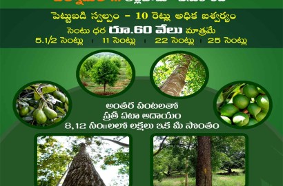 Farmlands in Guntur - Nidhivanam