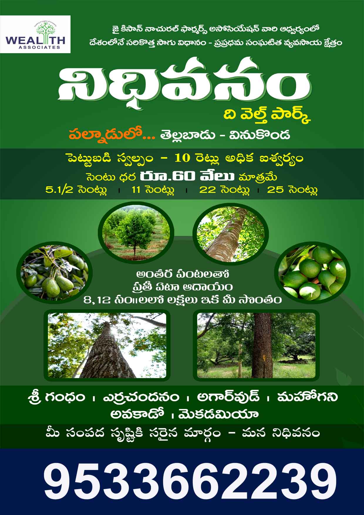 Farmlands in Guntur - Nidhivanam