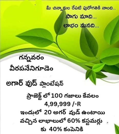 Agarwood Farmland Plots for Sale in Gannavaram-Veerapanenigudem