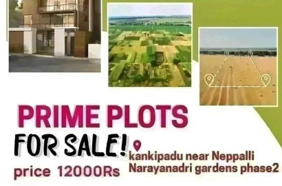 Prime Plots for Sale in Kankipadu, Neppalli-Narayanadri Gardens Phase2