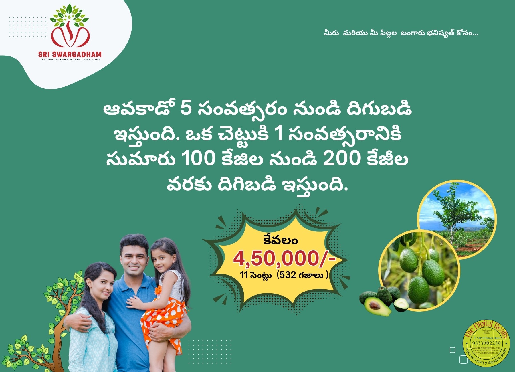 Avocado with red sandal wood Farm Lands in guntur-9966824854