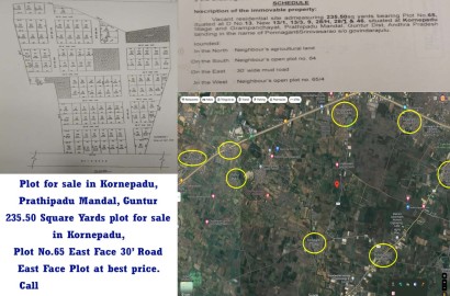 Plot for sale in Kornepadu, Guntur