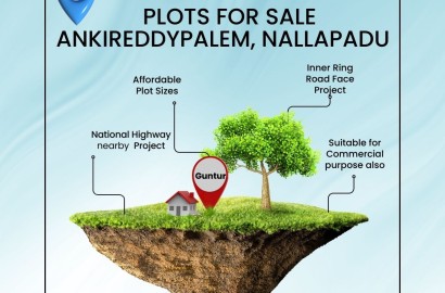 Open plots for sale in Guntur, Nallapadu, Ankireddypalem