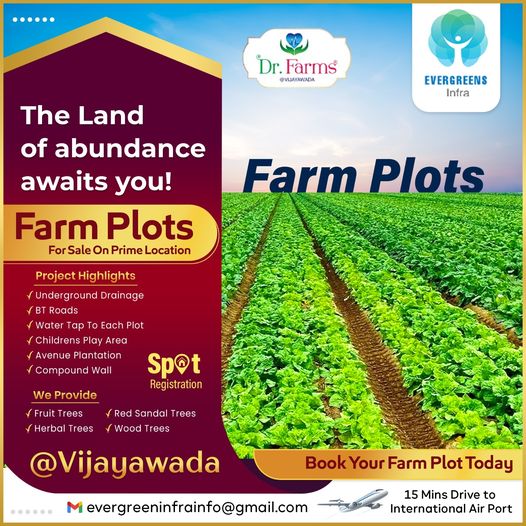 Farmlands in Vijayawada-Evergreens Infra - Dr Farms