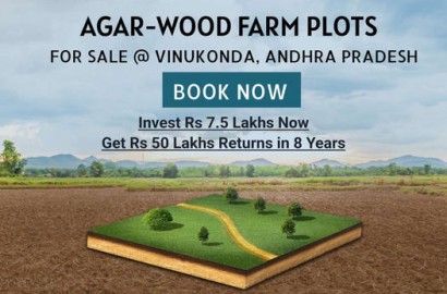 Mandira Developers, Guntur-Farmlands in Guntur