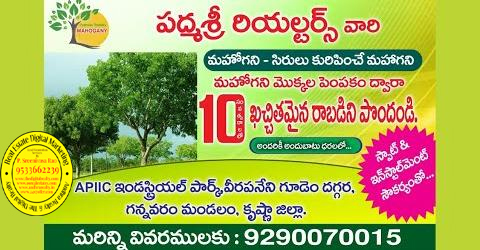 Padmasri Realtors Farmlands, Vijayawada