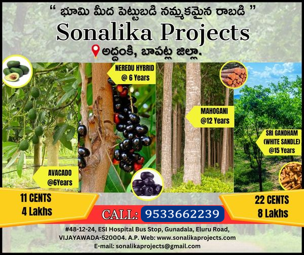 Avacado Farmlands in Guntur Sonalika Projects-9533662239