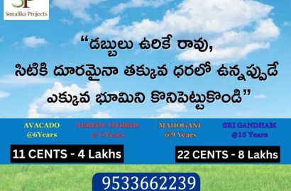 Avacado Farm Plots in Guntur Sonalika Projects-9533662239