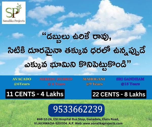 Avacado Farm Plots in Guntur Sonalika Projects-9533662239